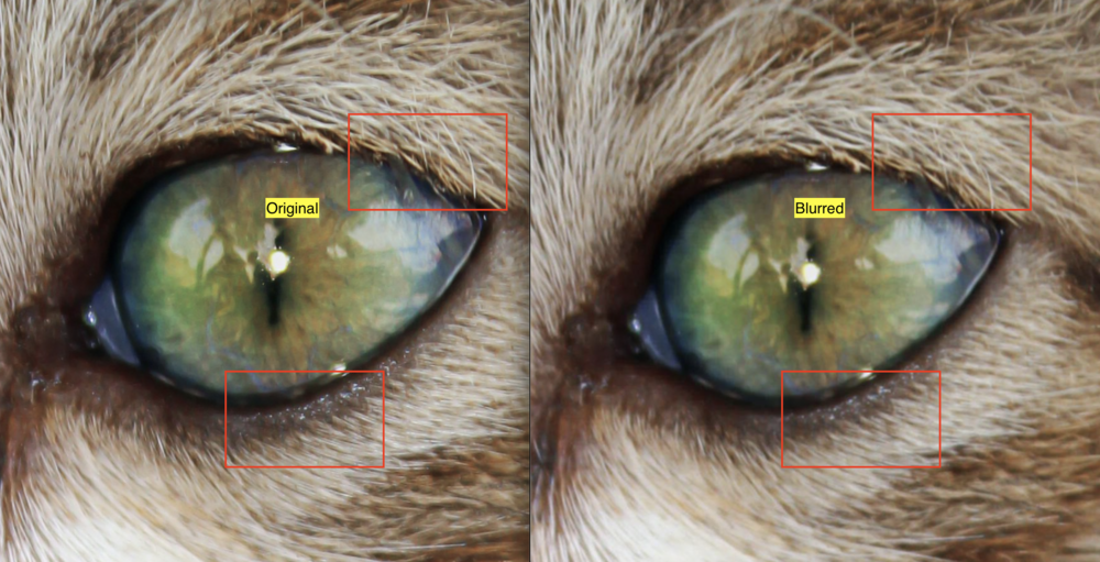 comparison of image before and after blurring