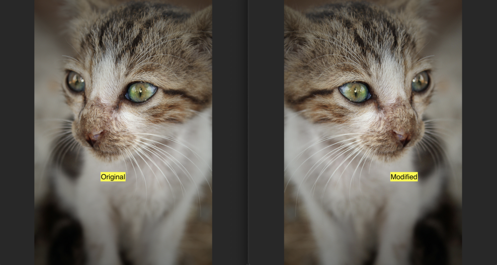comparison of image before and after mirroring