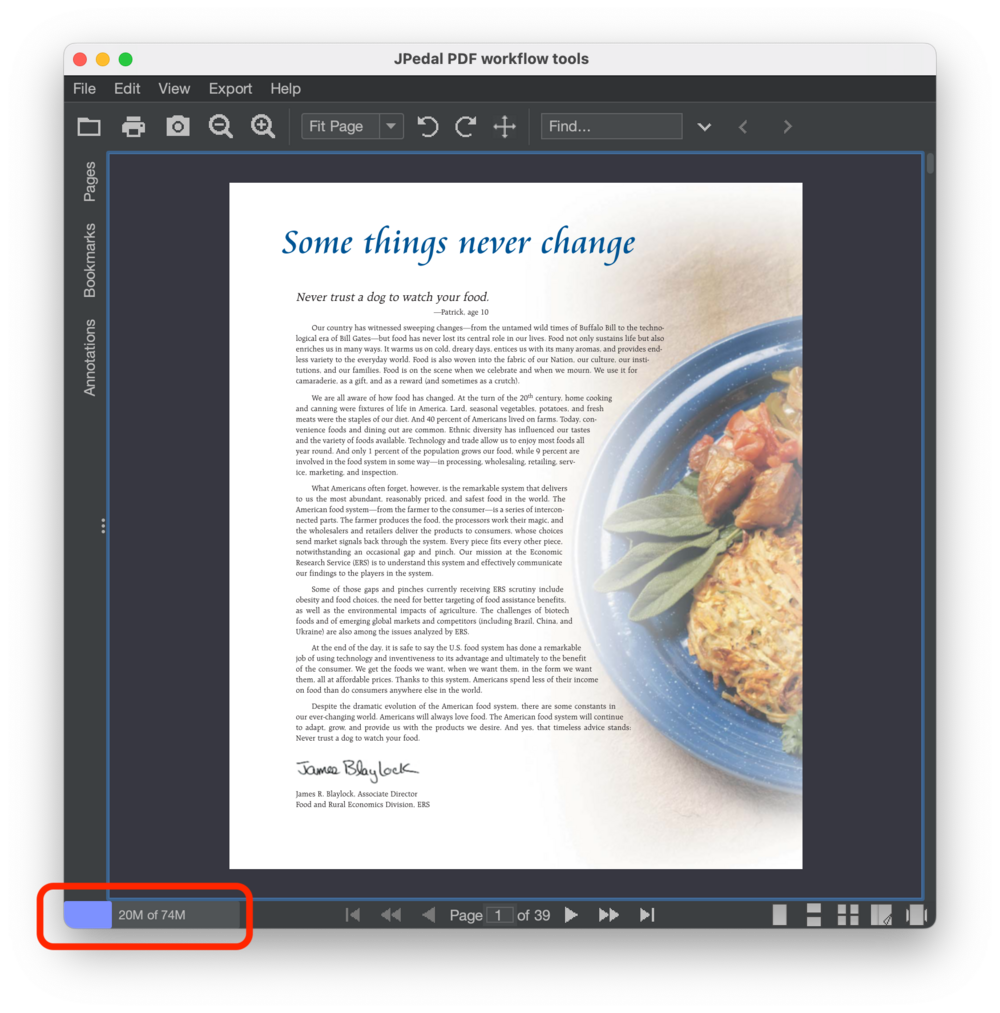 screenshot of memory usage in JPedal PDF viewer