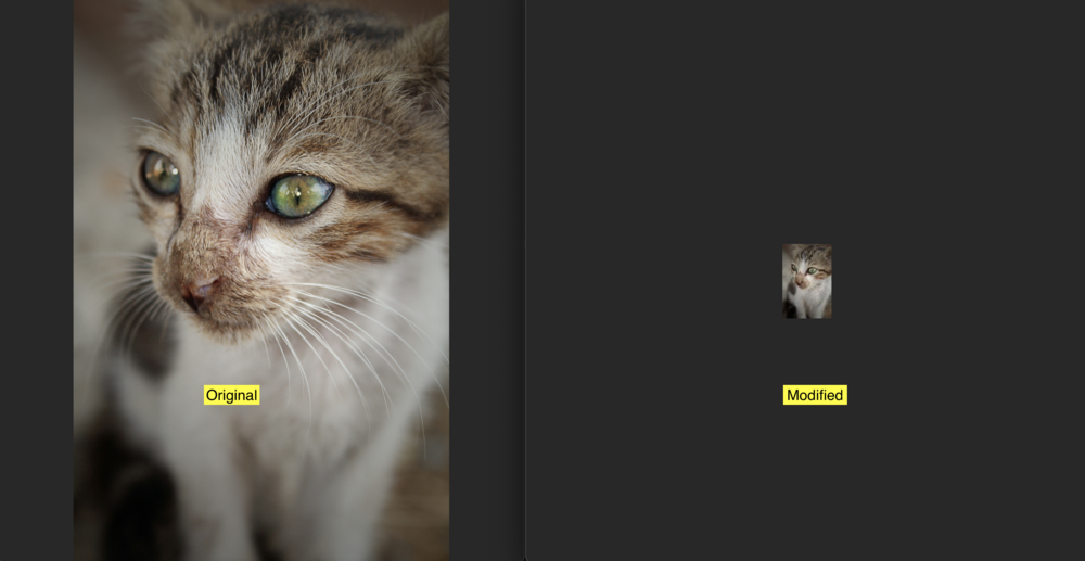 comparison of image before and after resizing