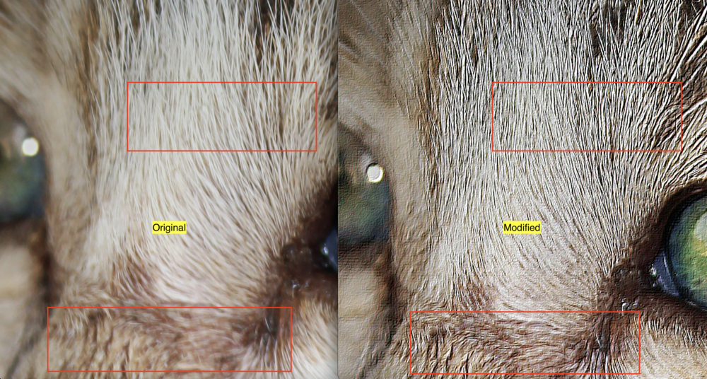 comparison of image before and after embossing