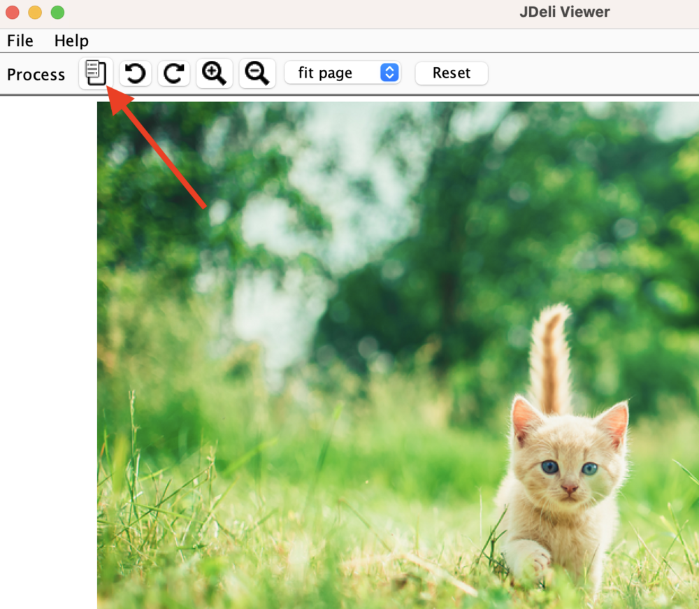 image metadata in JDeli image viewer