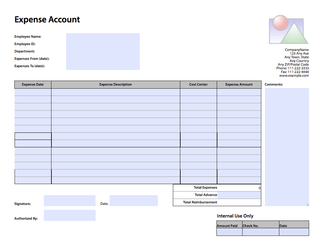 Expenses form Conversion example