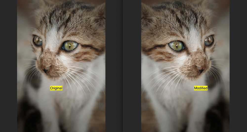 comparison of image before and after mirroring