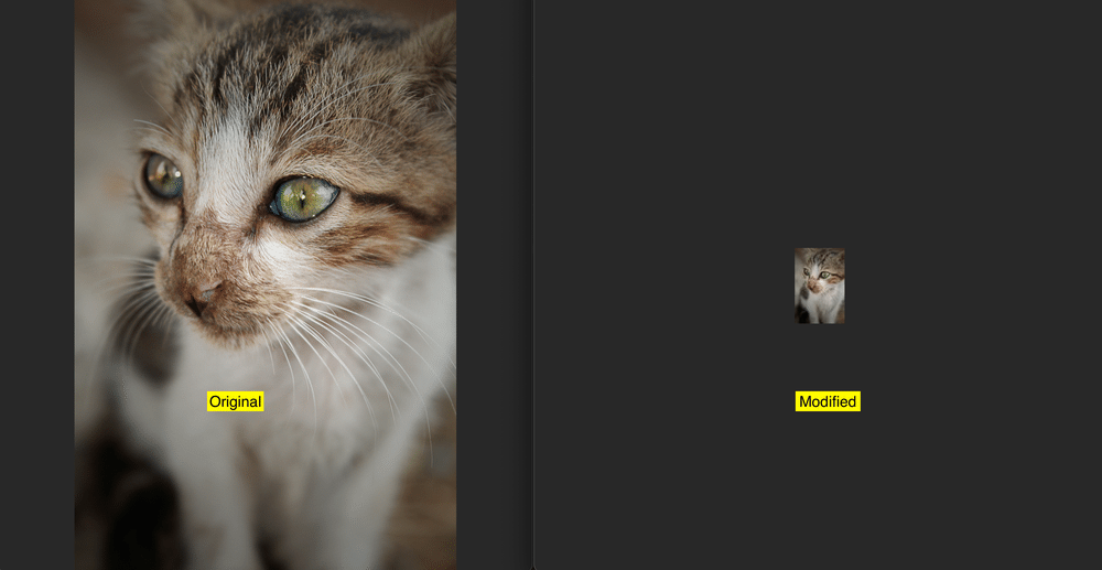 comparison of image before and after resizing