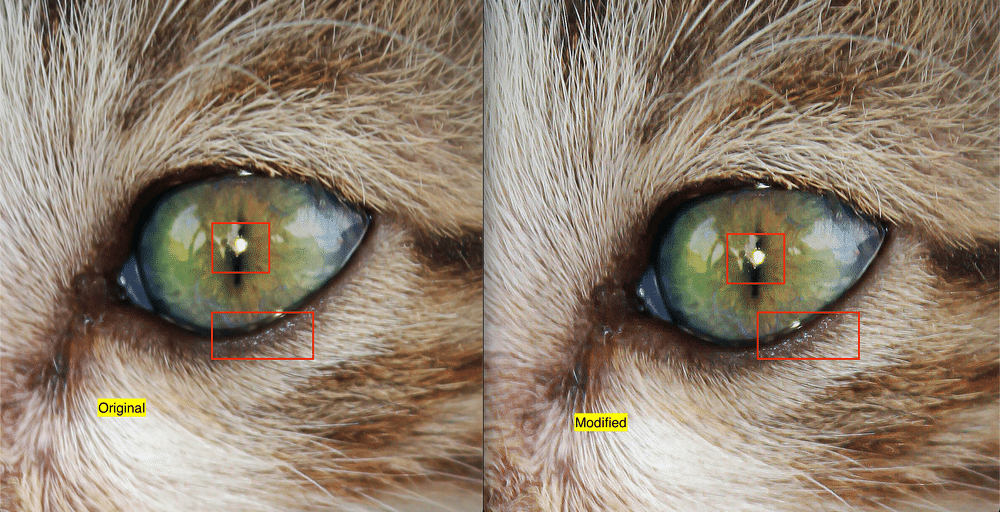 comparison of image before and after sharpening