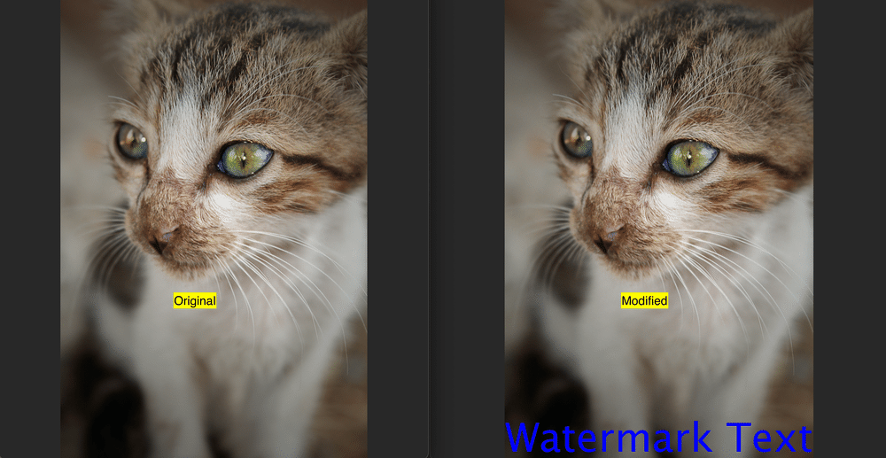 comparison of image before and after watermark