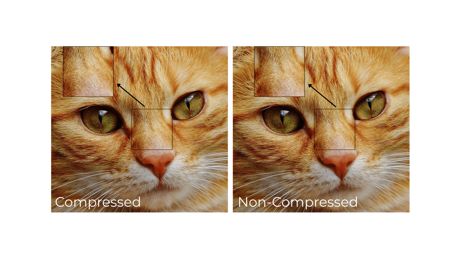 JPEG compression