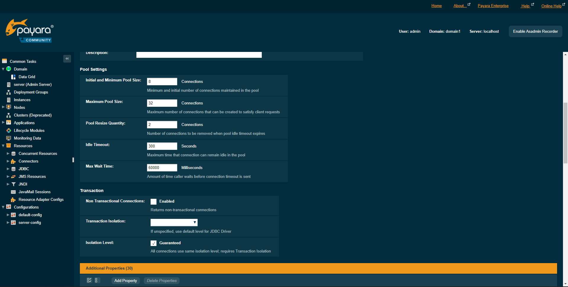 The payara JDBC New Connection Pool page 2 additional properties